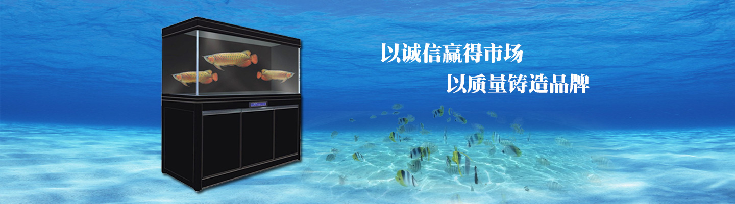 河北爱可佳水族用品有限公司